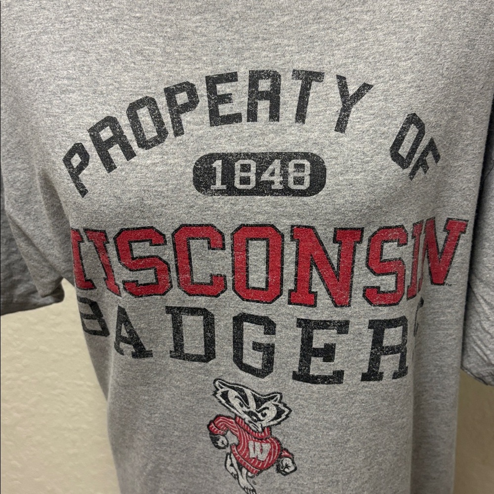 Soffe Gray Wisconsin Badgers Tee - Picture 12 of 13